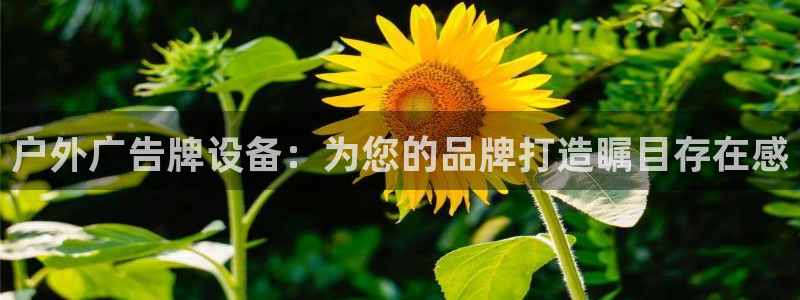 杏宇平台总代理