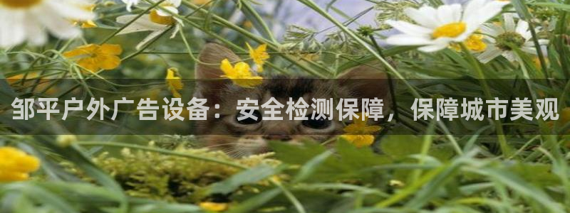 杏宇平台代理多少钱一个