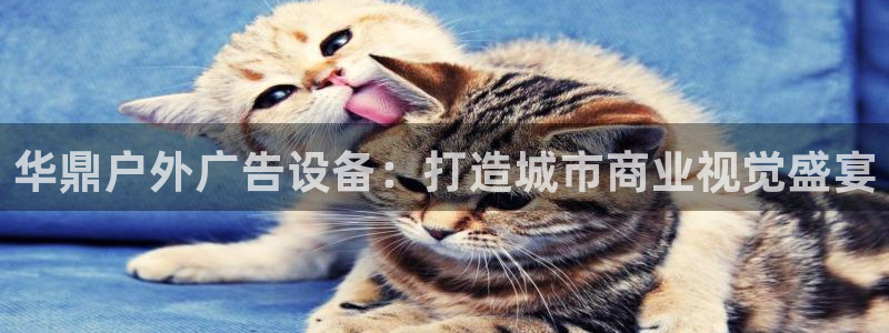 杏宇平台代理怎么赚钱快