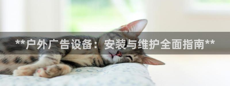 杏宇平台注册地址