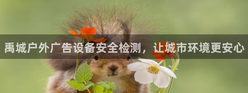 杏宇平台招商电话号码