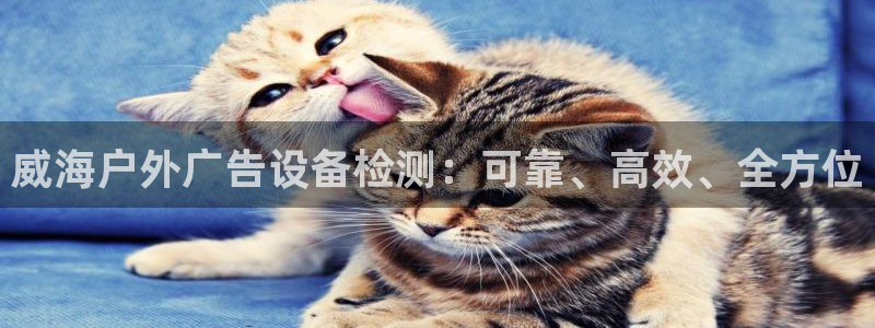 杏宇平台注册地址在哪里