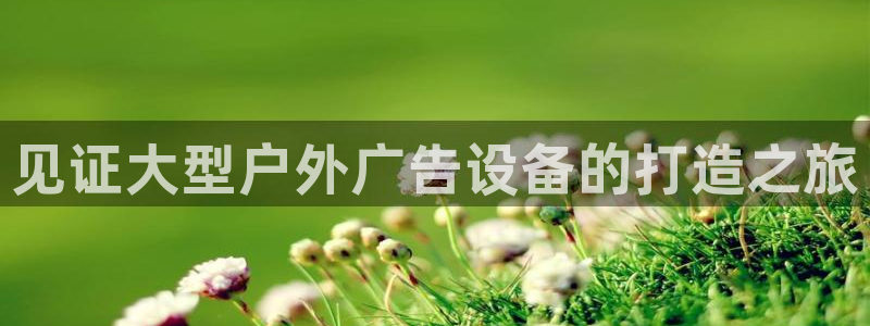 杏宇平台总代理