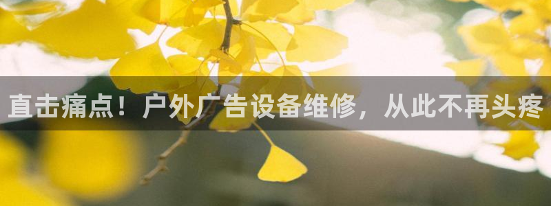 杏宇平台注册地址