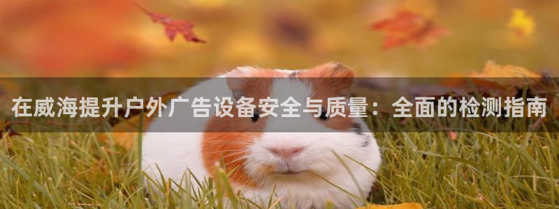 杏宇平台代理多少钱一个：在威海提升户外广告设备安全与质量：全面的检测指南