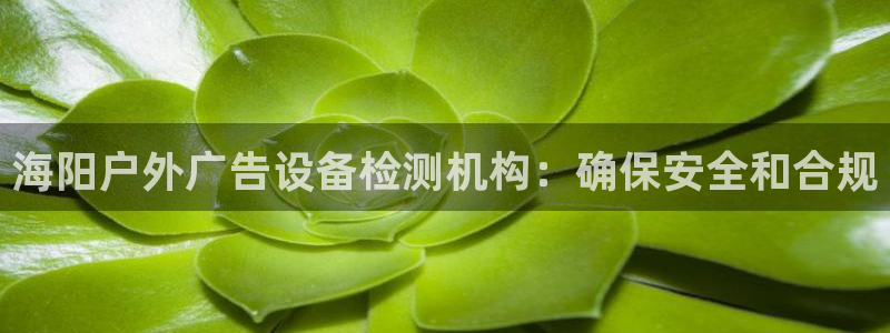 杏宇平台登录步骤图：海阳户外广告设备检测机构：确保安全和合规