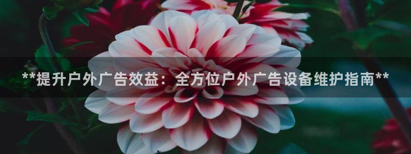 杏宇平台登录步骤图：**提升户外广告效益：全方位户外广告设备维护指南**