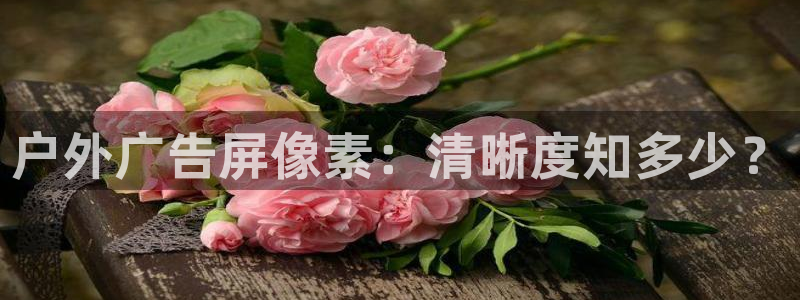 杏宇官方平台官网