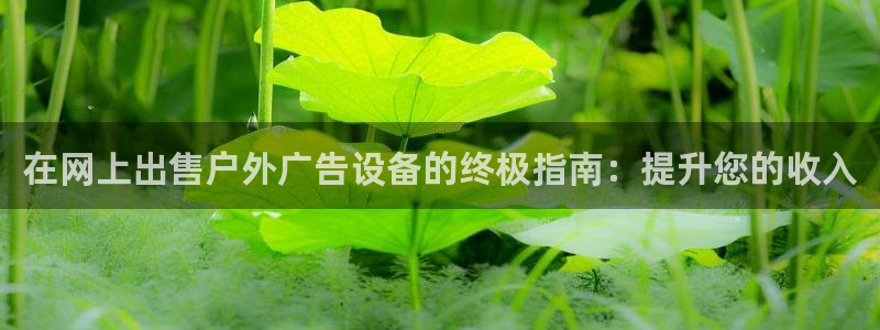 杏宇平台提现为什么这么久呢：在网上出售户外广告设备的终极指南：提升您的收入