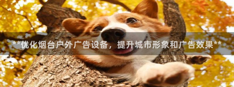 杏宇平台代理怎么赚钱：**优化烟台户外广告设备，提升城市形象和广告效果**