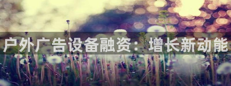 杏宇官方平台官网入口