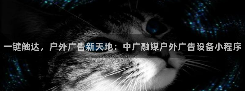 杏宇平台代理怎么赚钱
