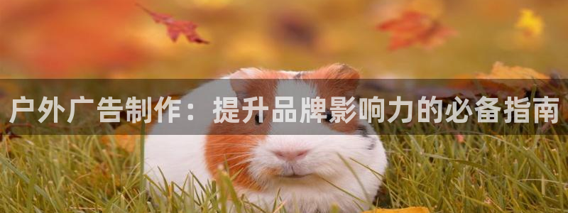 杏宇官方平台官网