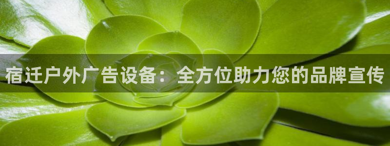 杏宇平台代理