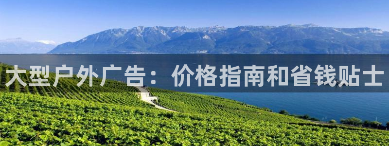 杏宇平台代理多少钱