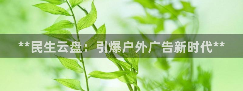 杏宇平台怎么样知乎：**民生云盘：引爆户外广告新时代**