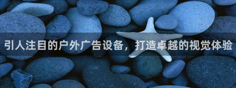 杏宇平台是什么