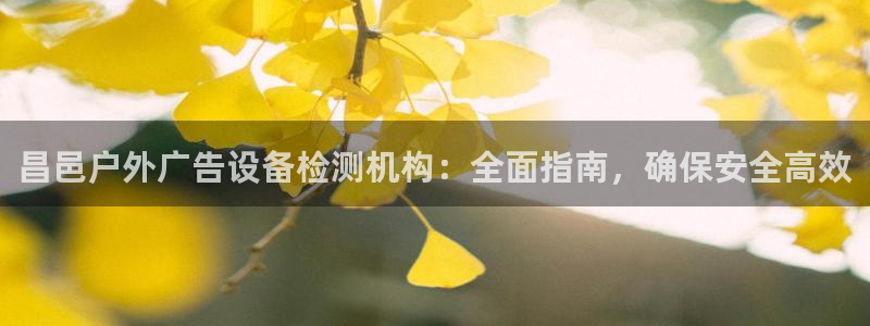 杏宇平台开户