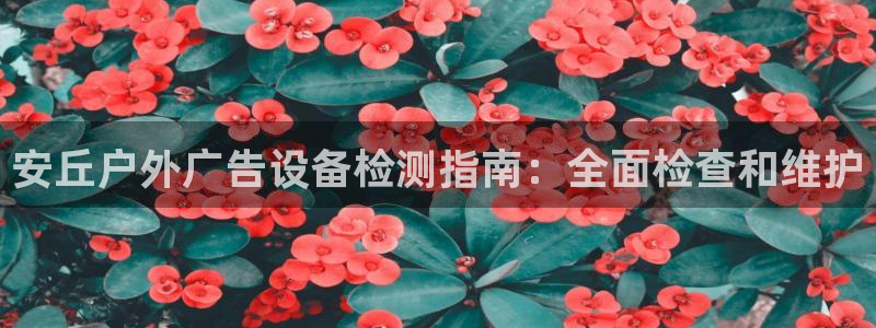 杏宇平台招商电话号码：安丘户外广告设备检测指南：全面检查和维护