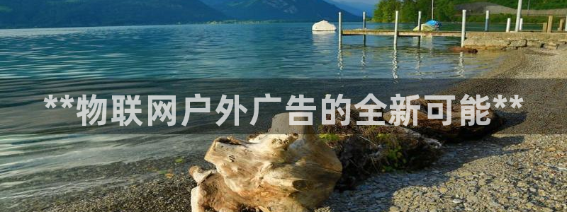 杏宇平台登陆