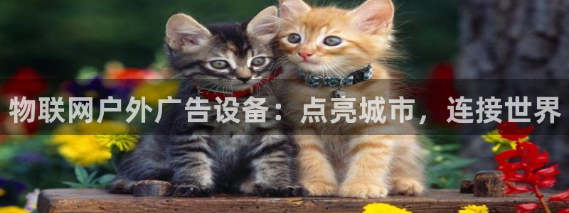 杏宇平台总代理电话
