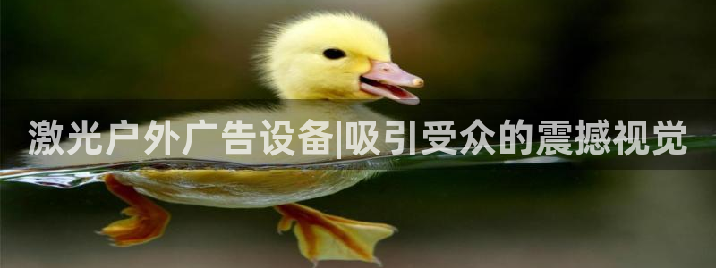 杏宇平台招商