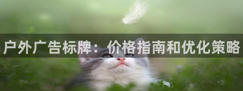 杏宇平台登陆