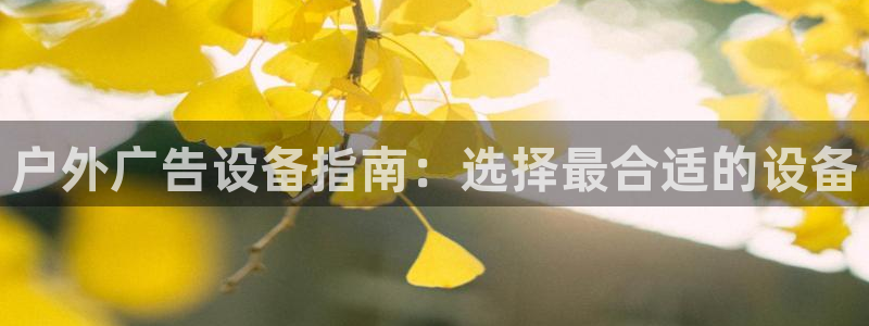 杏宇平台怎么样赚钱