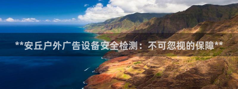 杏宇平台是什么