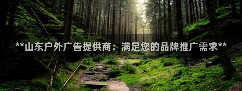杏宇平台注册登录：**山东户外广告提供商：满足您的品牌推广需求**
