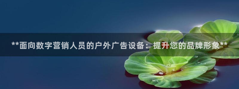 杏宇平台总代理：**面向数字营销人员的户外广告设备：提升您的品牌形象**