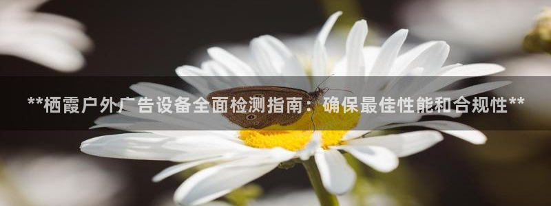 杏宇平台代理怎么样啊：**栖霞户外广告设备全面检测指南：确保最佳性能和合规性**