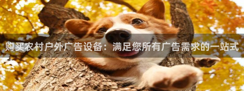 杏宇官方平台官网入口：购买农村户外广告设备：满足您所有广告需求的一站式