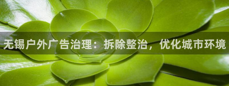 杏宇平台招商怎么样：无锡户外广告治理：拆除整治，优化城市环境