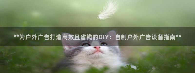 杏宇平台登陆：**为户外广告打造高效且省钱的DIY：自制户外广告设备指南**
