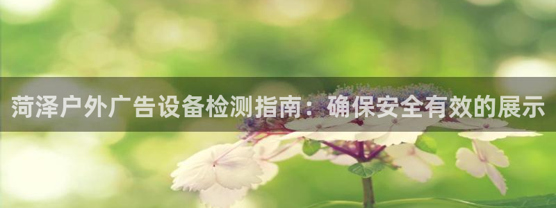 杏宇官方平台官网
