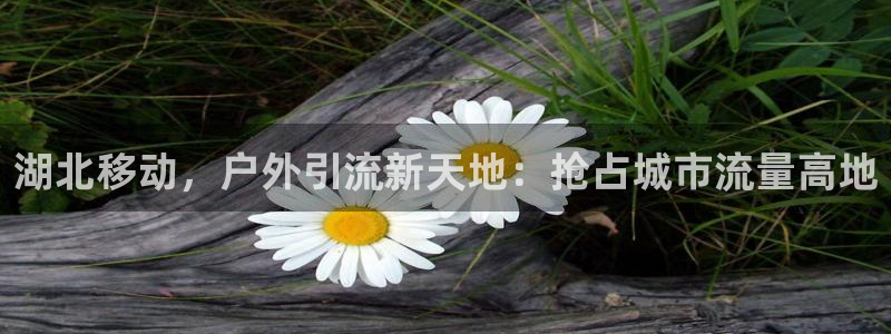 杏宇平台主管