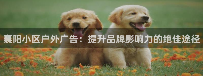 杏宇平台代理怎么样