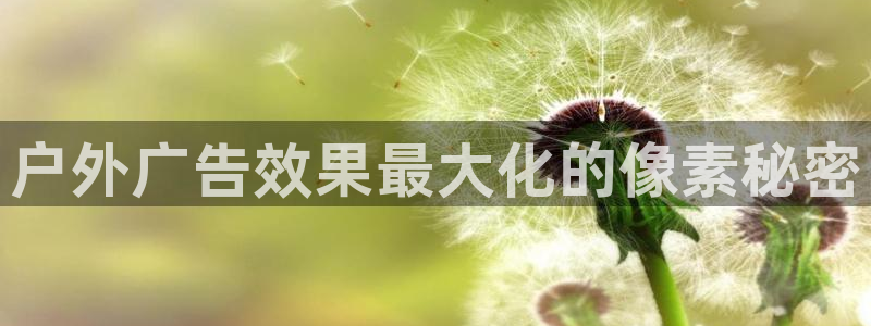 杏宇官方平台官网入口