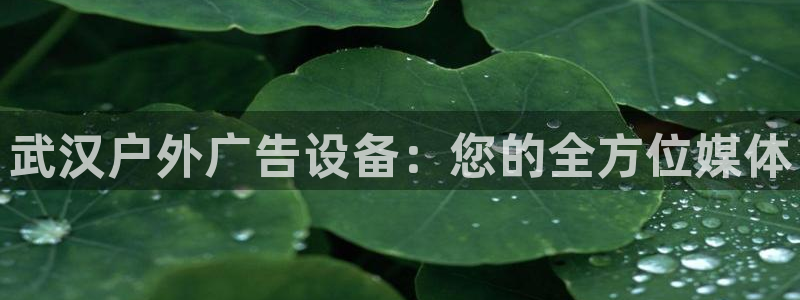 杏宇平台代理怎么样赚钱