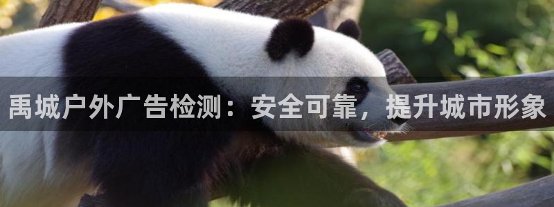 杏宇平台总代理电话