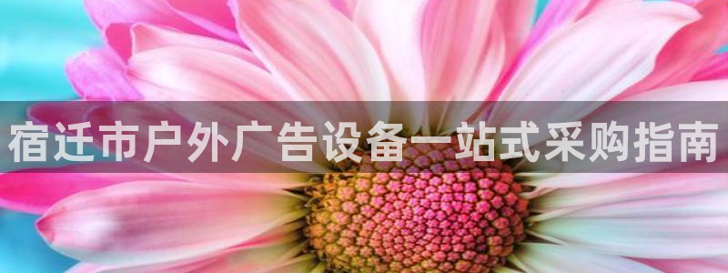 杏宇平台代理怎么样