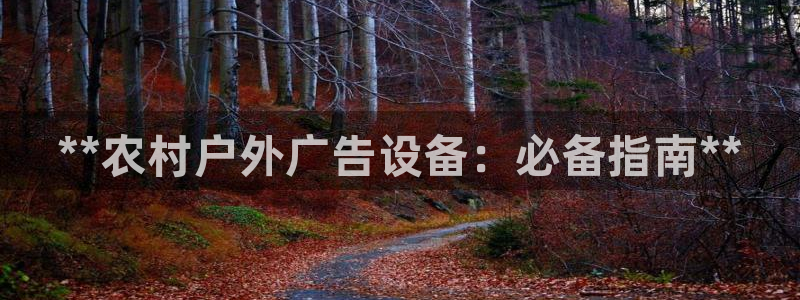 杏宇平台官网注册：**农村户外广告设备：必备指南**