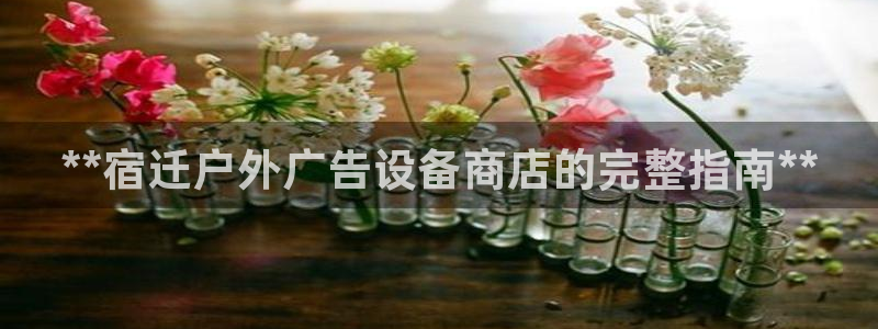 杏宇平台招商怎么样：**宿迁户外广告设备商店的完整指南**