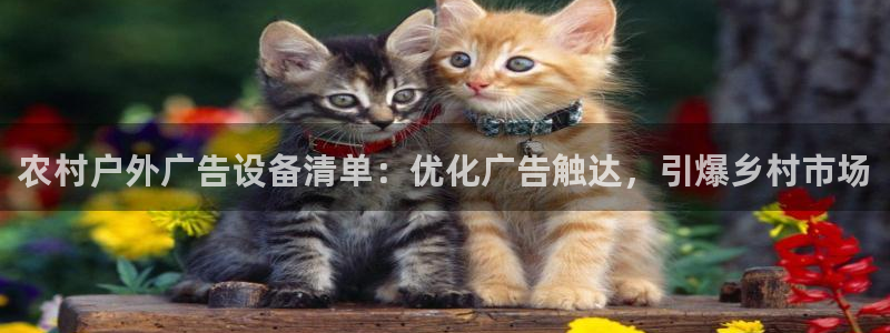 杏宇平台代理怎么样可靠吗