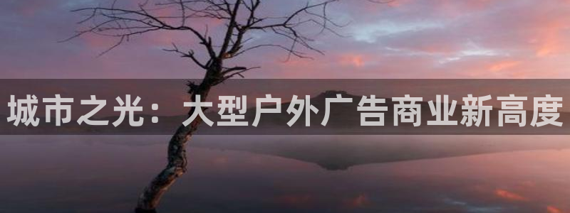 杏宇官方平台官网入口