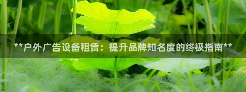 杏宇平台好吗：**户外广告设备租赁：提升品牌知名度的终极指南**