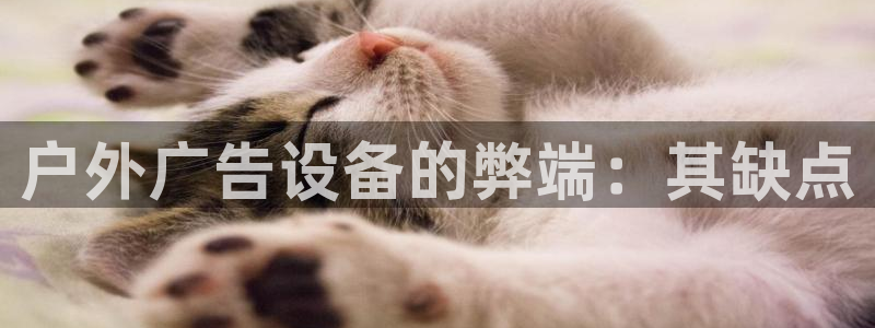 杏宇平台代理怎么样啊