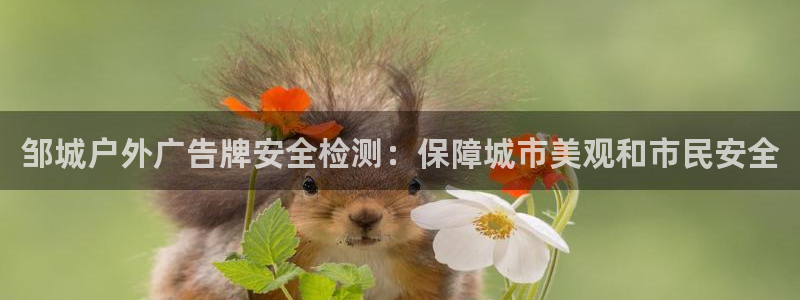 杏宇平台代理多少钱一个