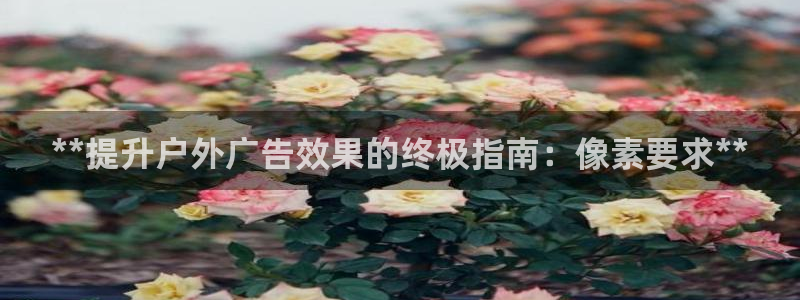 杏宇平台代理：**提升户外广告效果的终极指南：像素要求**